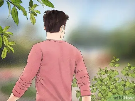 Поймать прыгающего паука и ухаживать за ним. Шаг 2