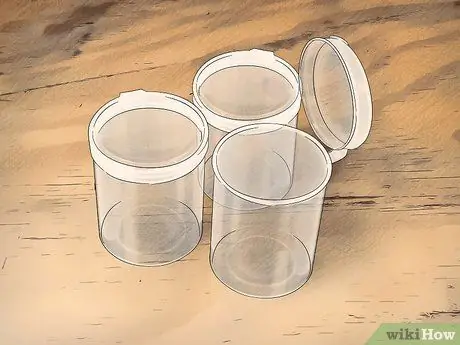 Поймать прыгающего паука и ухаживать за ним Шаг 4