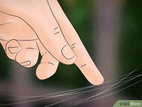 Определение паука-бродяги Шаг 7