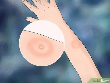 Определение паука-бродяги Шаг 8