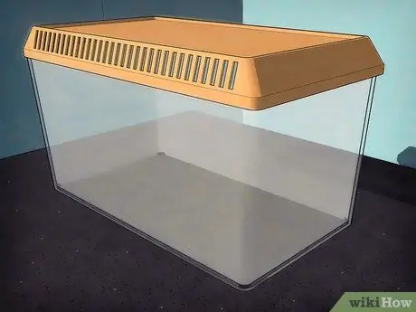 Держите пауков в качестве домашних животных Шаг 5