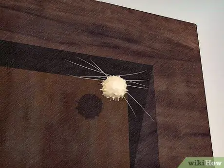 Определите паука-коричневую вдову. Шаг 5