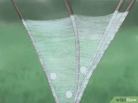 Определите детского паука. Шаг 6