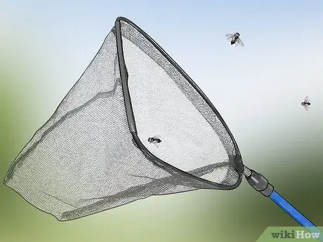 Уход за садовым пауком Шаг 11