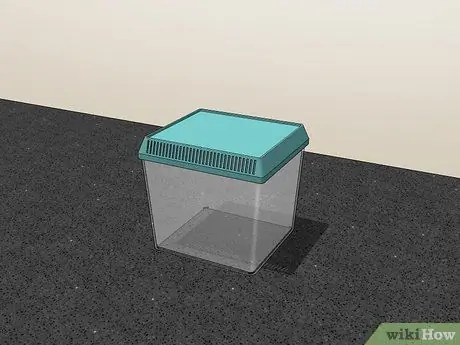 Уход за садовым пауком Шаг 5