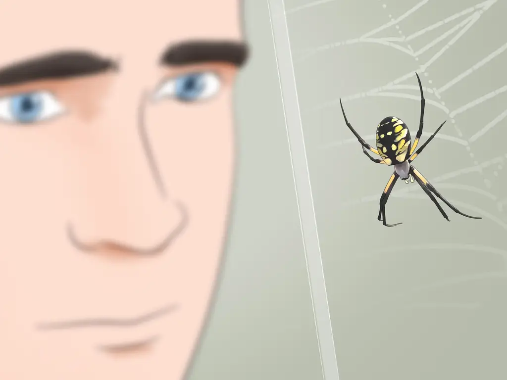 3 способа ухода за садовым пауком