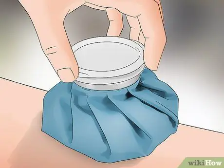 Определите красноспинного паука Шаг 12