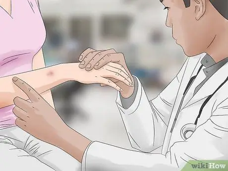 Определите красноспинного паука. Шаг 13