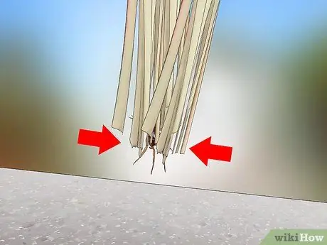 Поймать паука Шаг 11