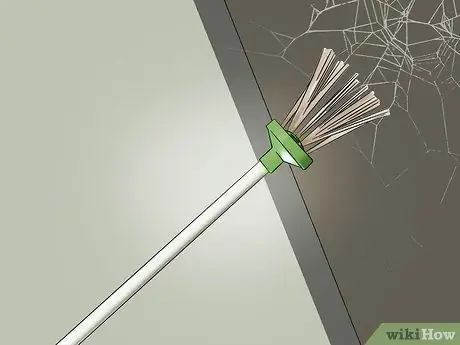 Поймать паука Шаг 13