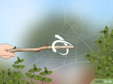 Поймать паука Шаг 16