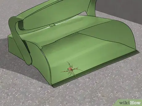 Поймать паука Шаг 8