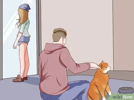 Найдите настоящего друга Шаг 15