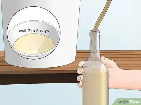 Приготовить вино из одуванчиков, шаг 12