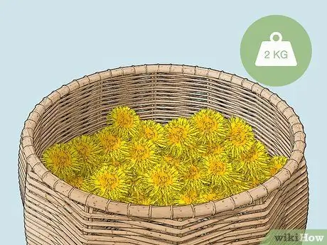 Приготовить вино из одуванчиков, шаг 2