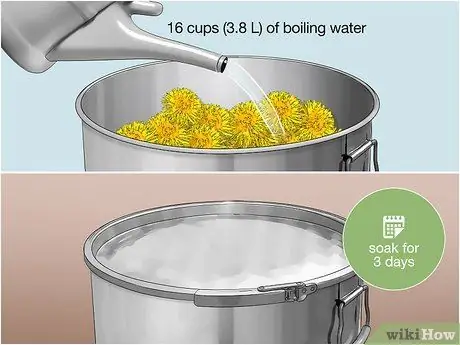 Приготовить вино из одуванчиков, шаг 3