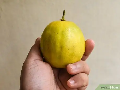 Созревшие лимоны Шаг 1