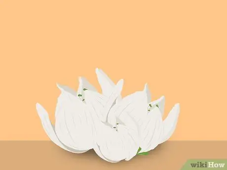 Съесть Юкку Шаг 2