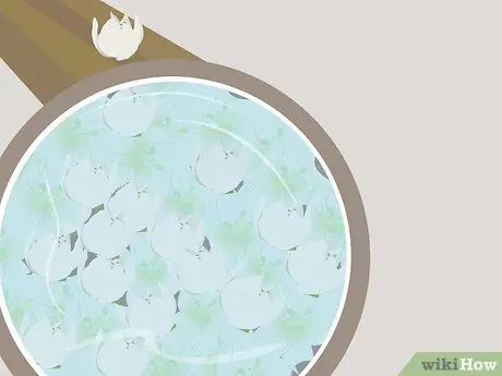 Съесть Юкку Шаг 4