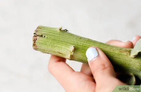 Съешьте артишок Шаг 5