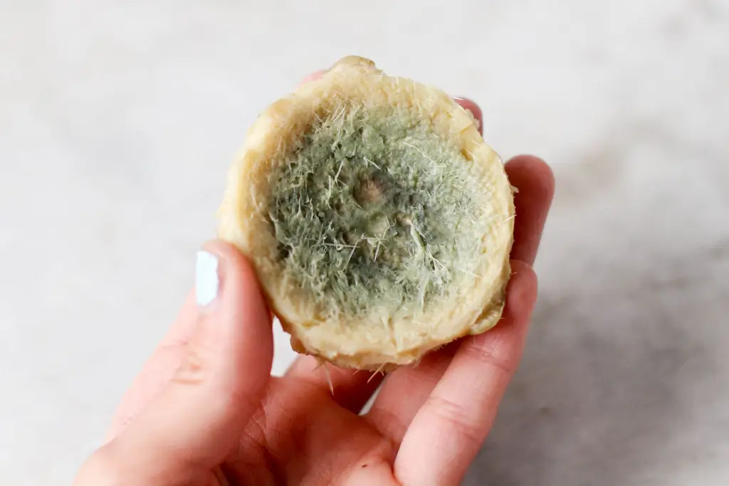 Как съесть артишок: 11 шагов (с иллюстрациями)