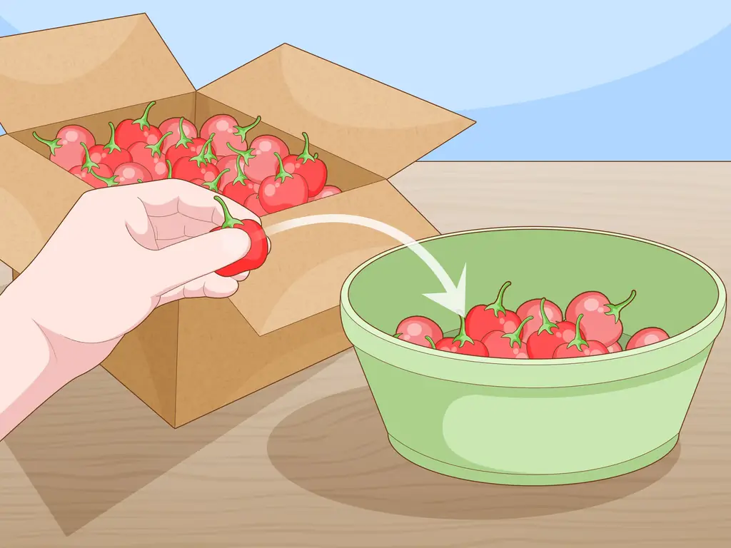 Как созреть зеленые помидоры: 11 шагов (с иллюстрациями)