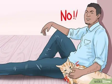 Как не дать кошке укусить и поцарапать Шаг 5