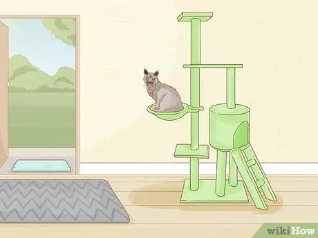 Выберите дерево для кошачьих царапин Шаг 11