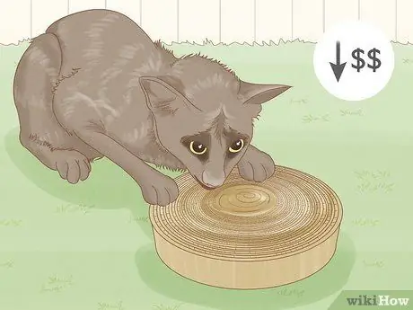 Выберите дерево для кошачьих царапин Шаг 3