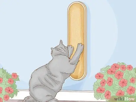 Выберите дерево для кошачьих царапин Шаг 4