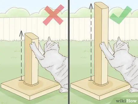 Выберите дерево для кошачьих царапин Шаг 7