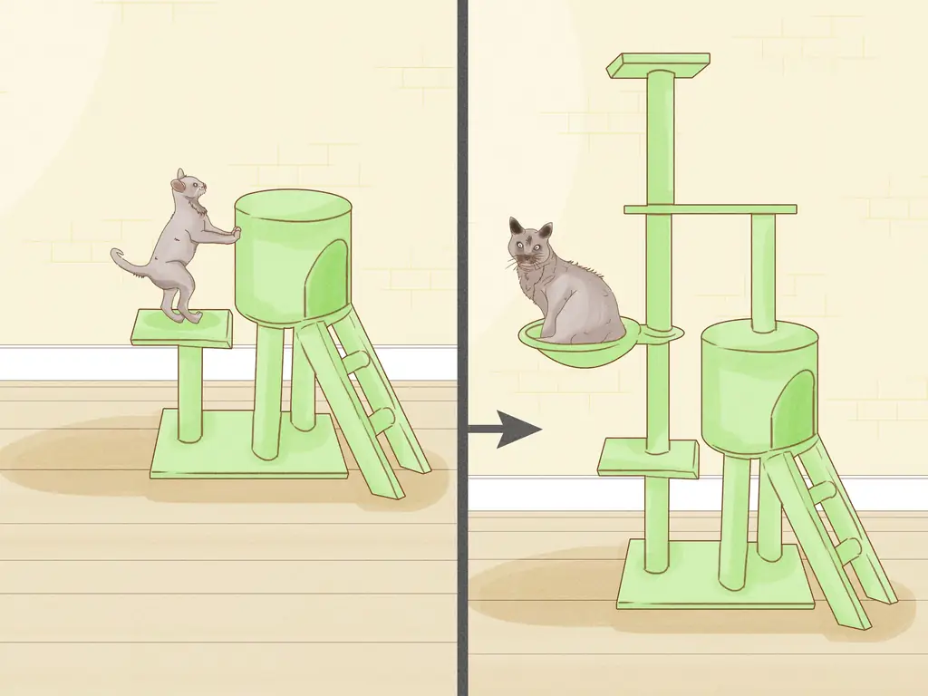 Как выбрать дерево для кошачьих царапин: 12 шагов (с картинками)