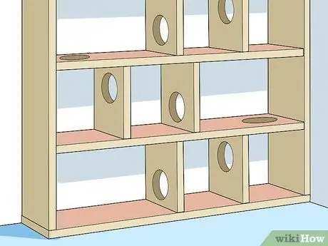 Сделайте тренажерные залы и игровые площадки для кошачьих джунглей Шаг 11