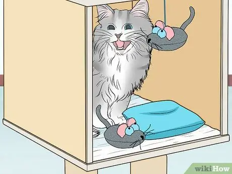 Сделайте тренажерные залы и игровые площадки для кошачьих джунглей Шаг 9