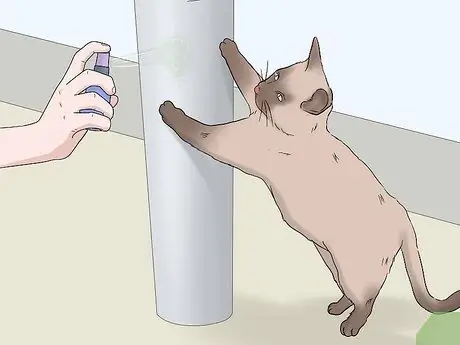 Используйте спрей из кошачьей мяты, шаг 2