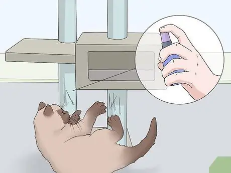 Используйте спрей из кошачьей мяты, шаг 5