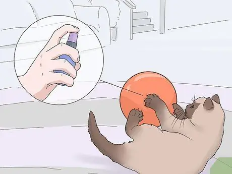 Используйте спрей из кошачьей мяты, шаг 6