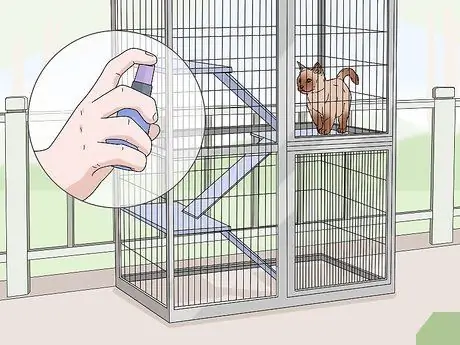 Используйте спрей из кошачьей мяты, шаг 7