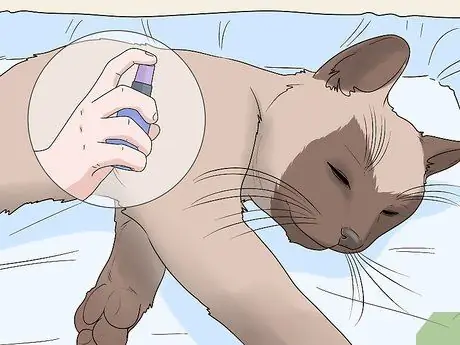 Используйте спрей из кошачьей мяты, шаг 8