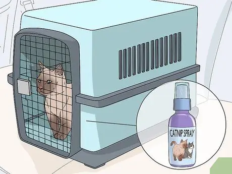 Используйте спрей из кошачьей мяты, шаг 9