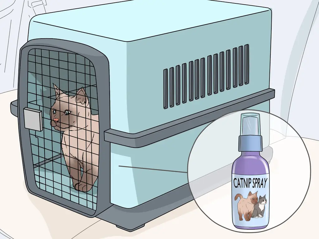 Простые способы использования спрея из кошачьей мяты: 10 шагов (с изображениями)