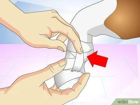 Лечить занозы для собак Шаг 10