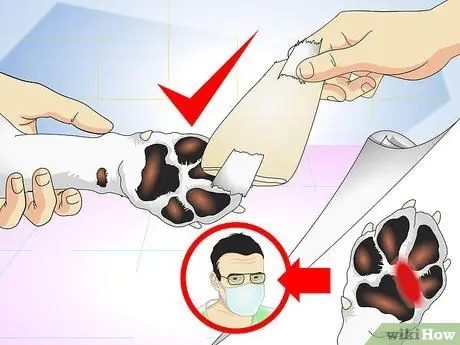 Лечить занозы для собак Шаг 12