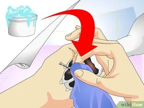 Лечить осколки для собак, шаг 2