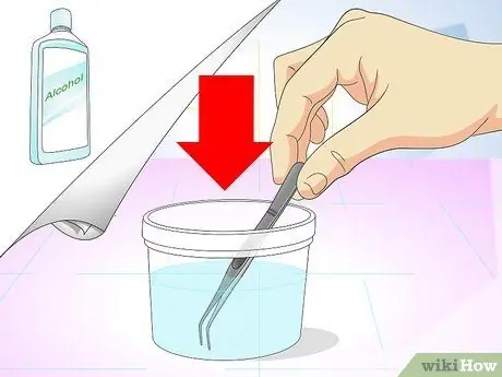 Лечить занозы для собак Шаг 3