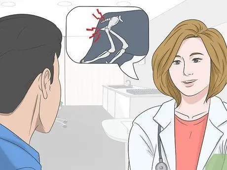 Приучите испуганную собаку спускаться по лестнице Шаг 1