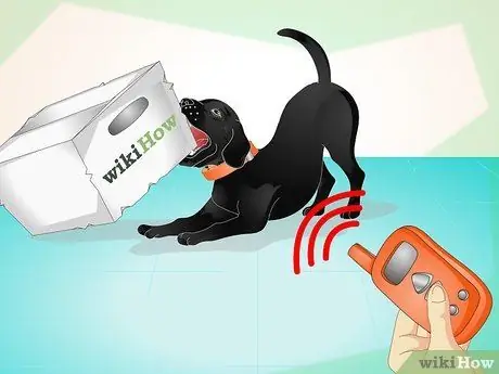 Используйте электронный ошейник для дрессировки собак Шаг 7