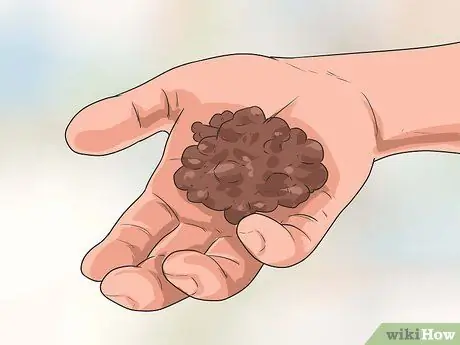 Дрессировка взрослой собаки, шаг 1