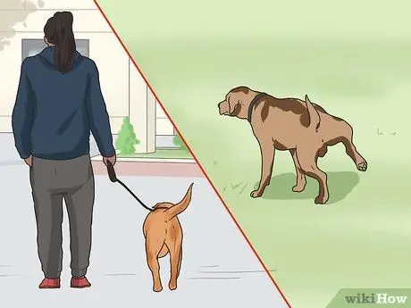 Дрессировка взрослой собаки Шаг 13