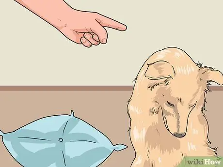 Дрессировка взрослой собаки Шаг 14